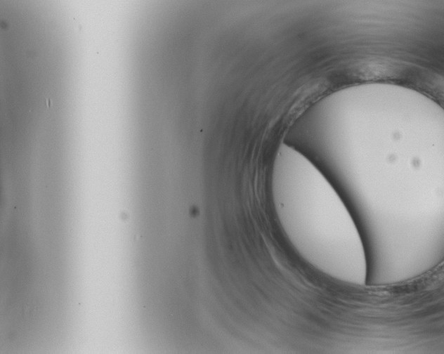 X0000066520214200603170958