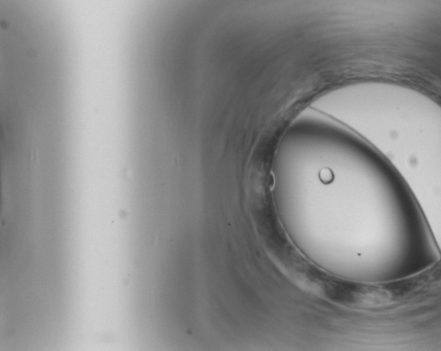 X0000066520215200603170958