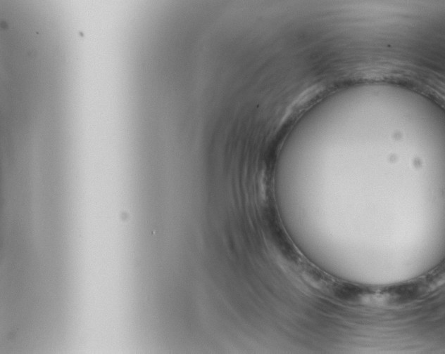 X0000066520216200603170958