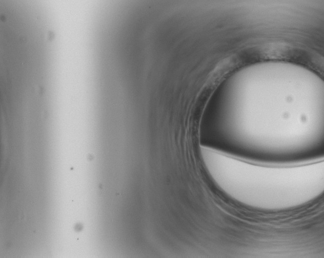 X0000066520217200603170958