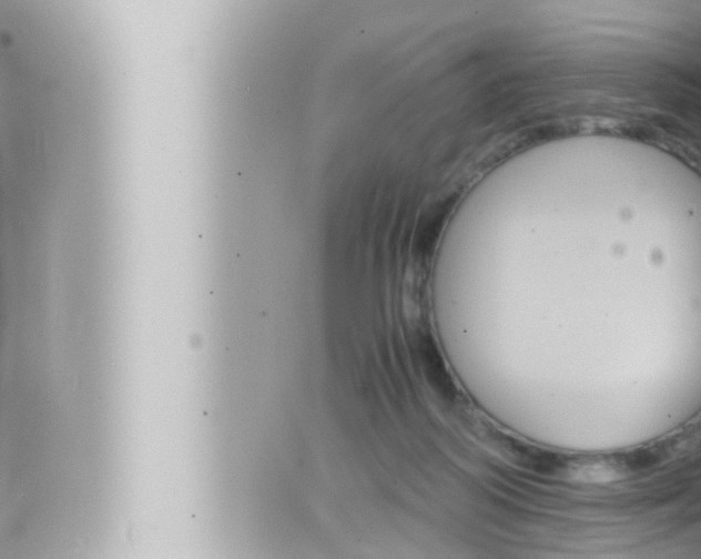 X0000066520218200603170958