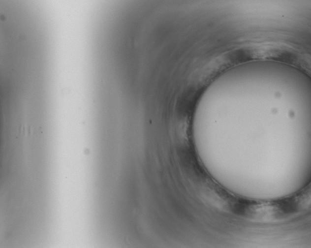 X0000066520219200603170958