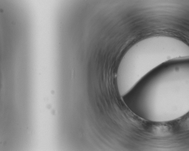 X0000066520220200603170958