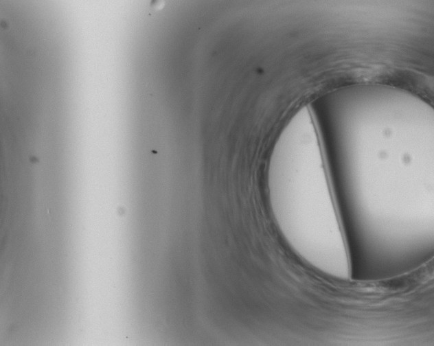 X0000066520221200603170958