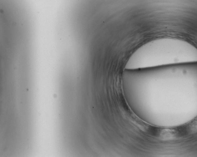 X0000066520222200603170958