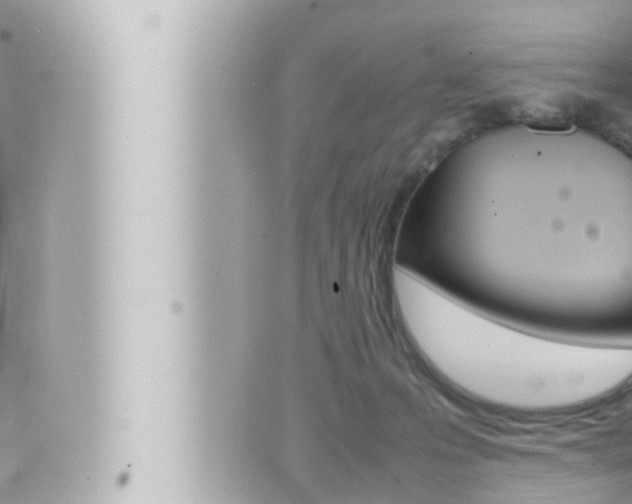 X0000066520223200603170958