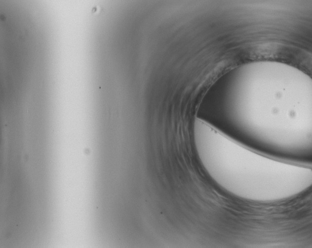 X0000066520224200603170958