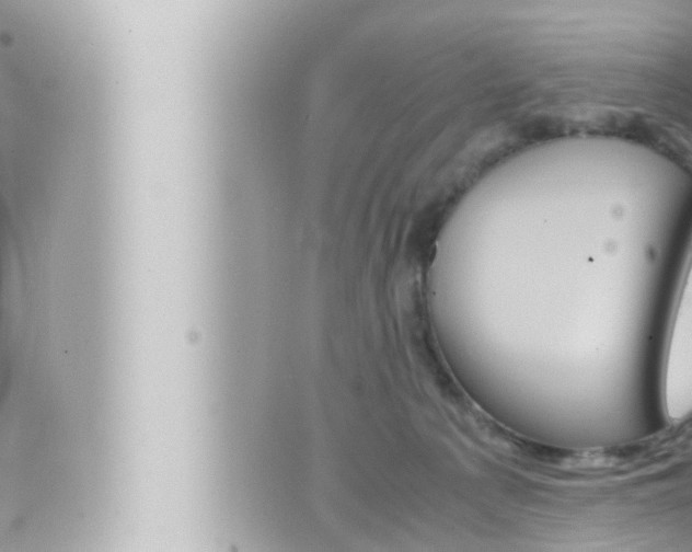 X0000066520225200603170958