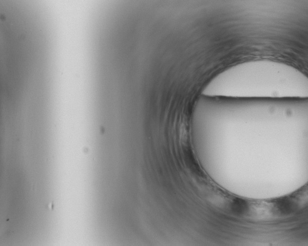 X0000066520226200603170958