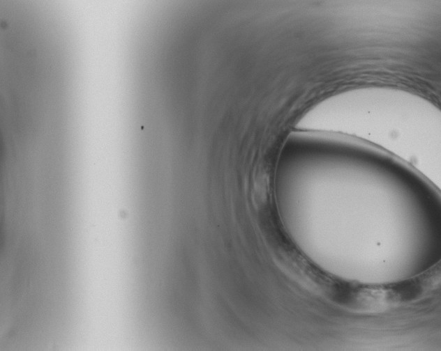 X0000066520227200603170958