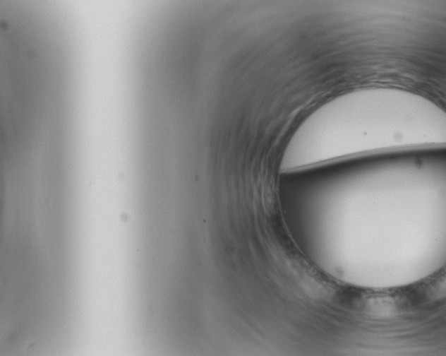 X0000066520228200603170958