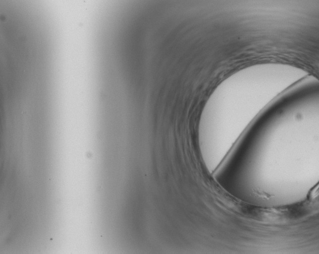 X0000066520229200603170958