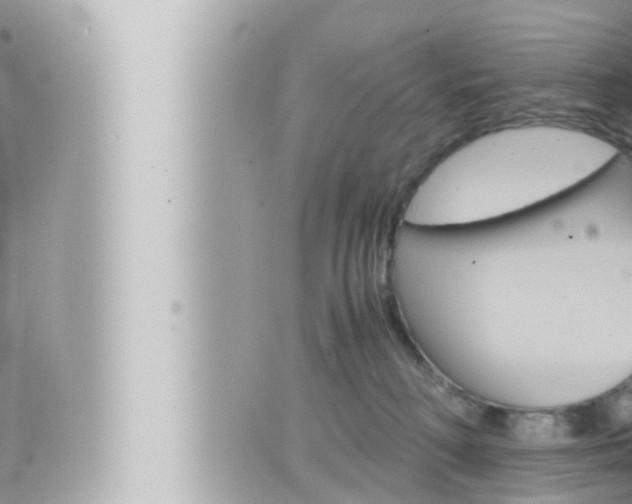 X0000066520230200603170958