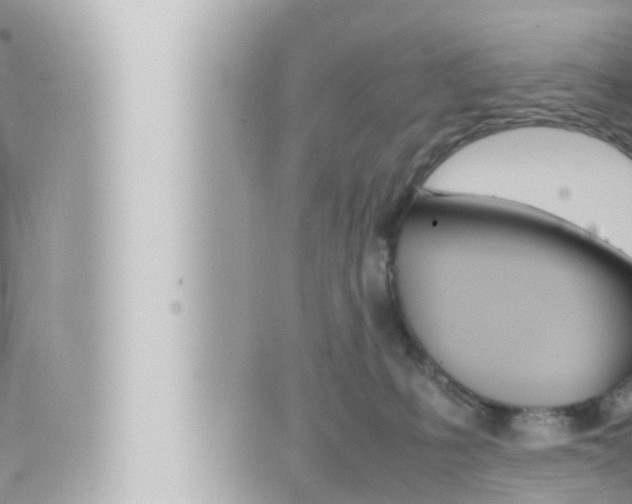 X0000066520231200603170958