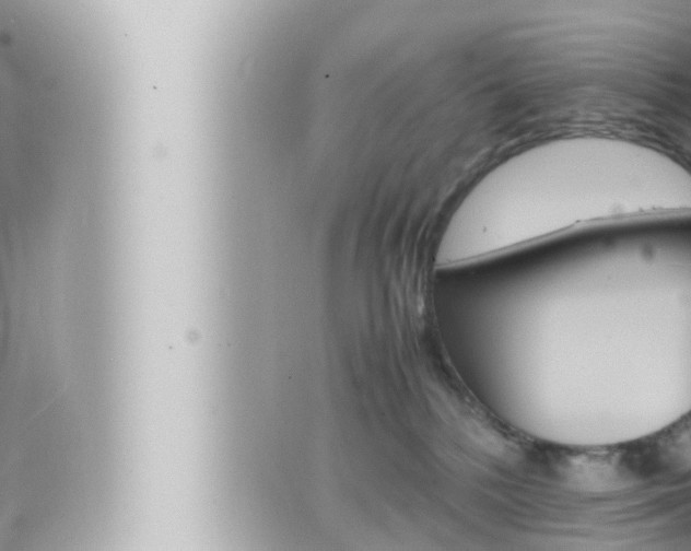 X0000066520232200603170958