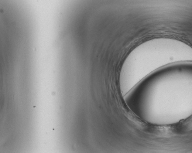 X0000066520233200603170958