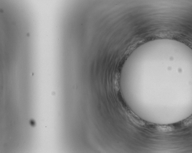 X0000066520234200603170958