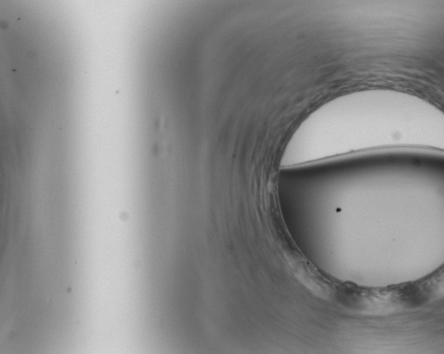 X0000066520235200603170958