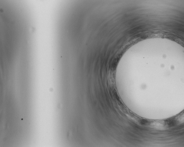 X0000066520236200603170958