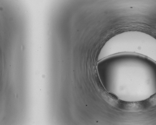 X0000066520237200603170958