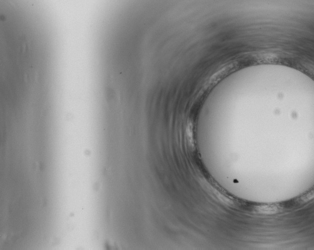 X0000066520238200603170958