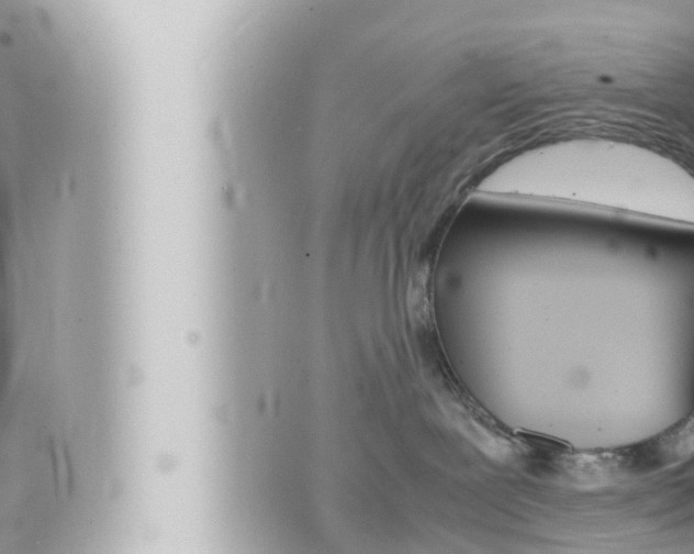 X0000066520239200603170958