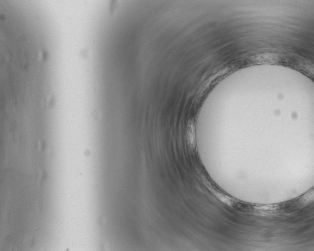 X0000066520240200603170958