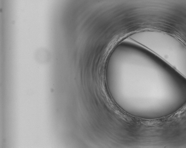 X0000066520241200603170957