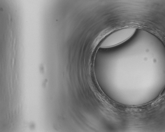 X0000066520242200603170957