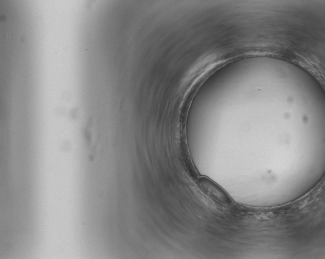 X0000066520243200603170957