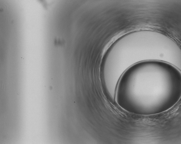 X0000066520244200603170957