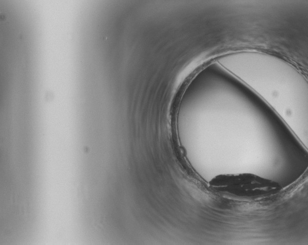 X0000066520246200603170957