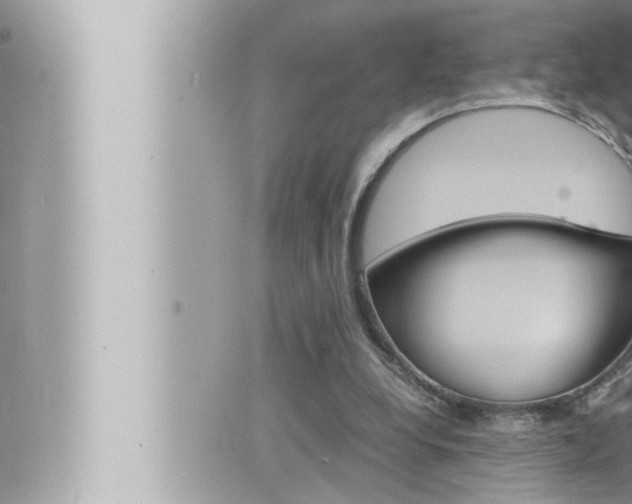 X0000066520248200603170957