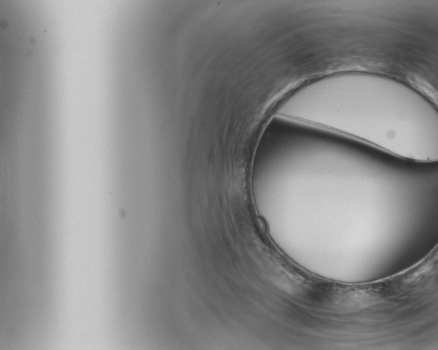 X0000066520249200603170957