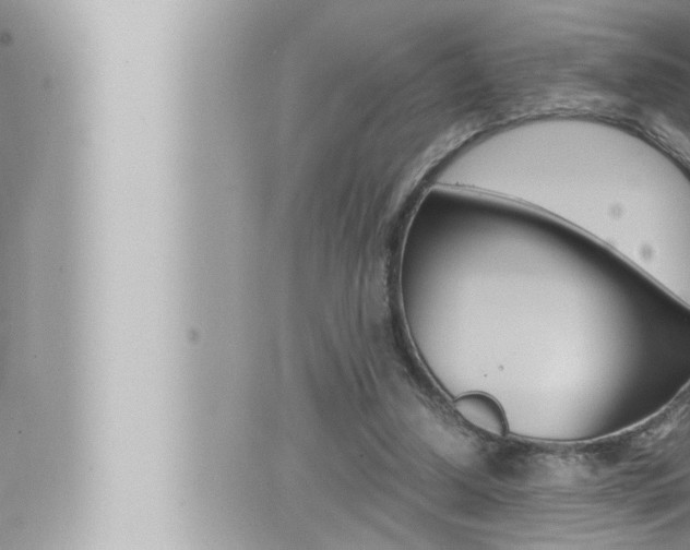 X0000066520250200603170957