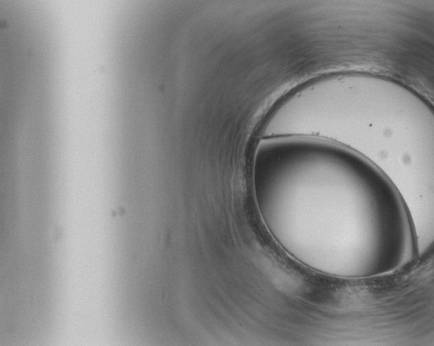 X0000066520252200603170957