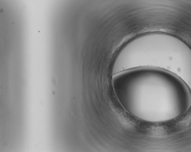 X0000066520256200603170957