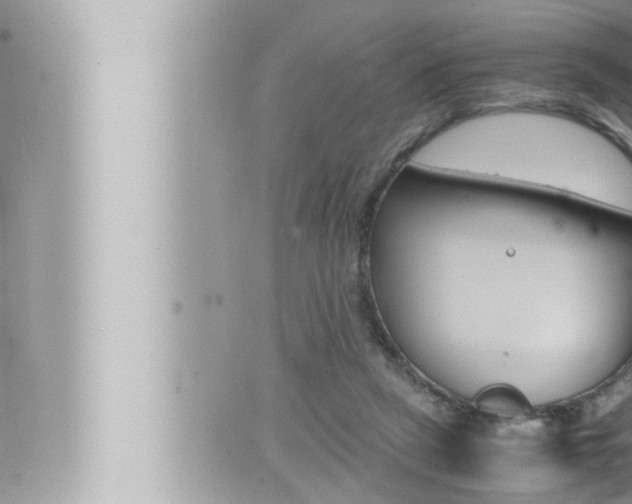 X0000066520257200603170957