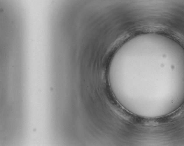 X0000066520258200603170957