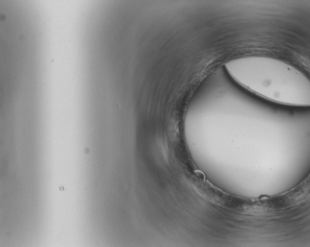 X0000066520259200603170957