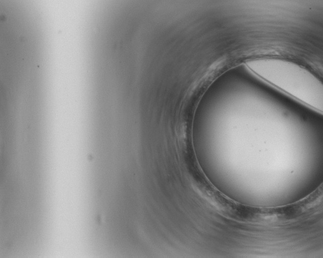 X0000066520260200603170957