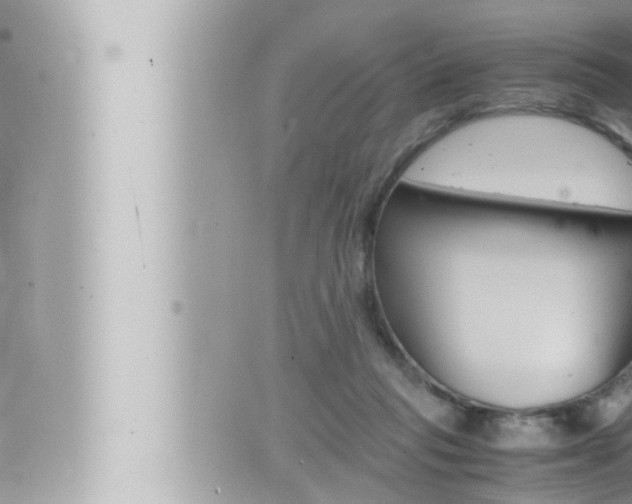 X0000066520261200603170957