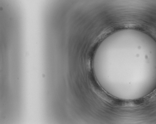 X0000066520262200603170957