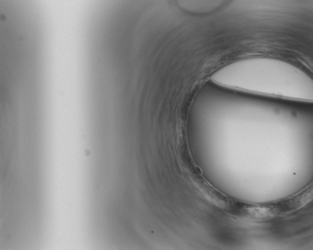 X0000066520265200603170957