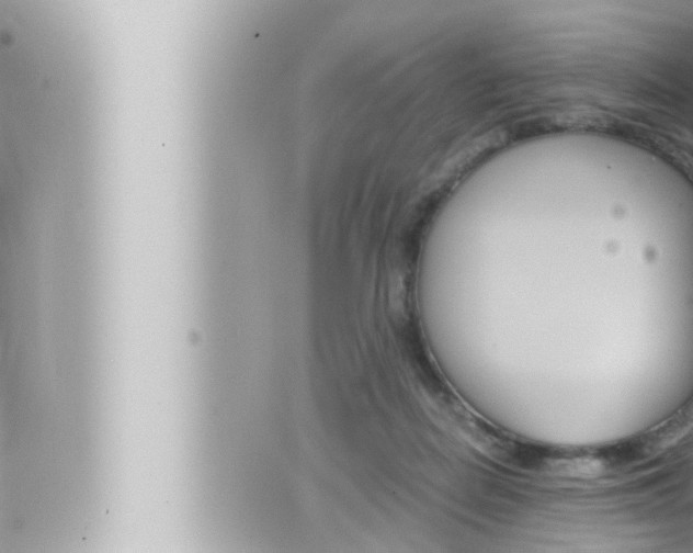 X0000066520266200603170957