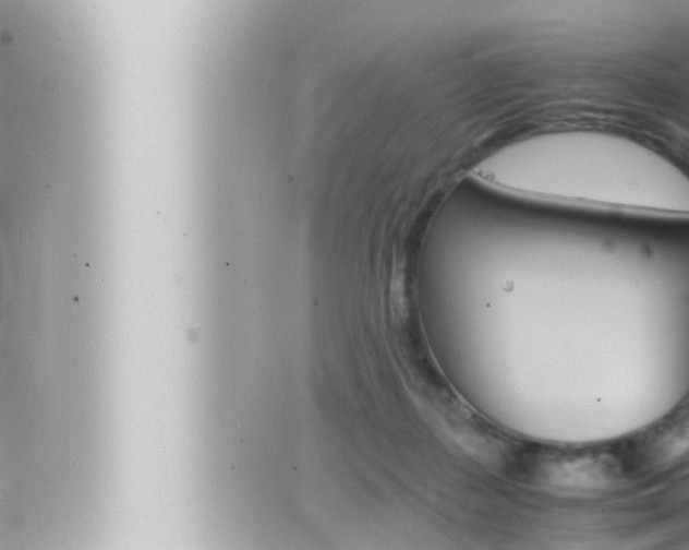 X0000066520267200603170957