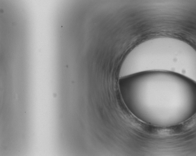 X0000066520268200603170957