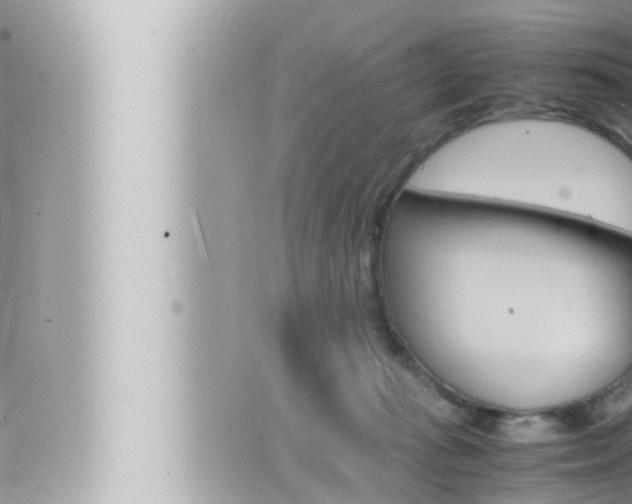 X0000066520269200603170957