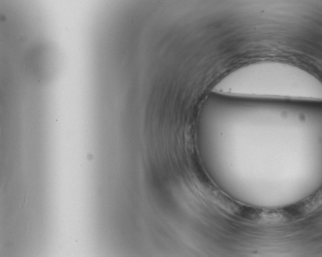 X0000066520270200603170957