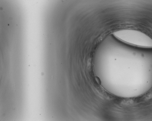 X0000066520271200603170957